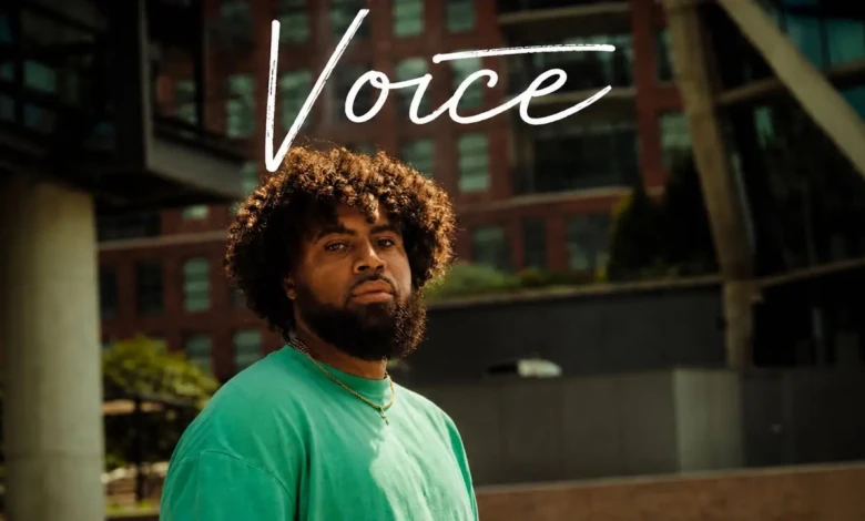 kieran the light -voices